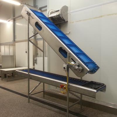 Transportband Productielijn Voedingsmiddelenindustrie Geffen Products