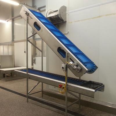 Transportband Voedingsmiddelenindustrie Geffen Products
